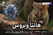 باید و نباید‌ها درباره «هانتاویروس»